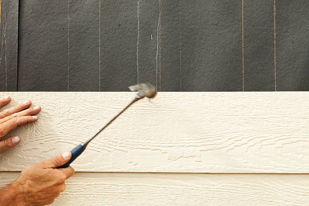 Affordable Siding Repair and Maintenance Services in Rochester, PA